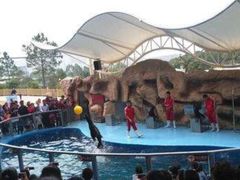 -泉州海丝野生动物世界