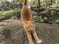 -晓港公园