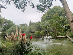 -上海醉白池公园