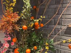 -老牌坊云南鱼豆花火锅(哈西万达店)