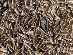 -栗满秋(燕丰西坝河店)