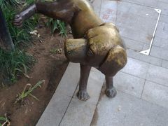 -中粮·祥云小镇