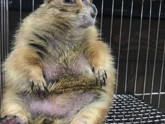 -乐宠宠物店(世纪金源店)