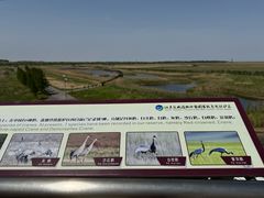 -盐城丹顶鹤湿地生态旅游区