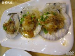 青岛&nbsp;018蒜茸元贝-海岛渔村大酒店(云霄路店)