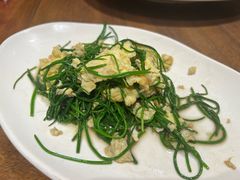 -毡房姑娘·新疆菜·烧烤