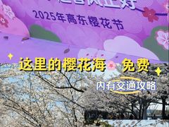 -高东镇樱花园