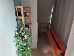 -兰瑜伽·普拉提