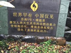 -张家港金凤凰度假村温泉