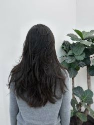 -Hair Code芭曲发型