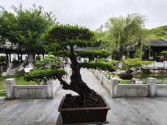 -泰州凤城河风景区-泰山公园