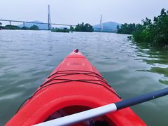 -芒洲湿地公园