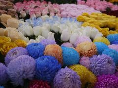 -越秀西湖花市(广州城市广场花卉店)