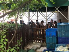 -正宗天津烧麦馆(柳州路店)