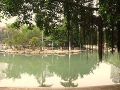 -江头公园