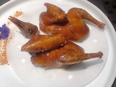 红烧乳鸽-粤凤佬
