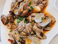 辣炒花蛤-华盛丰温州大排档(东三环南路店)