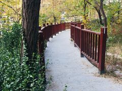 -贮水山儿童公园