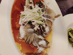 -西湖春天(中州店)