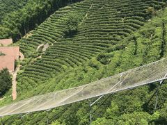-长沙黑麋峰国家森林公园
