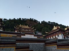 -四川郎木寺镇