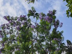 -白鹭湾湿地公园