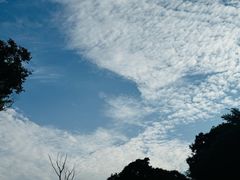 -东钱湖旅游度假区