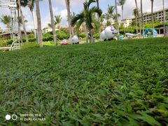 -三亚亚龙湾天域度假酒店