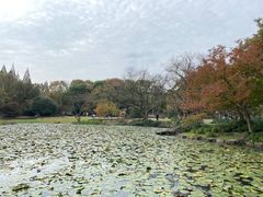 -上海植物园·停车场