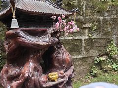 -藏山旅游风景区