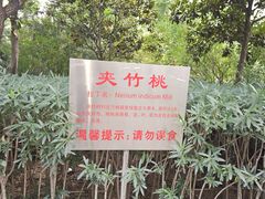 -莲湖公园