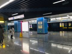 -大龙山(地铁站)