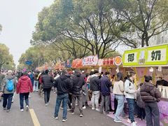 -高东镇樱花园