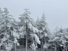 -牛背山