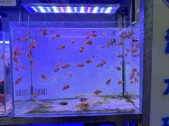 -三旗百汇商品城