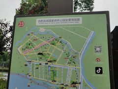 -合肥滨湖国家森林公园