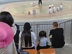 -石家庄市动物园