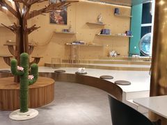 -飞行喵MR PILOT|猫舍·猫咖(静安大融城店)