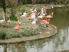 -杭州野生动物世界