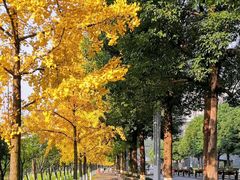 -重庆市江北嘴中央商务区中央公园