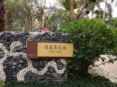 -台山颐和温泉城