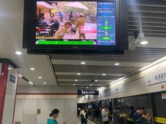-桃浦新村(地铁站)