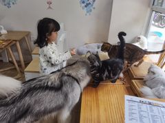 -李小姐の猫咖啡馆(五角场店)