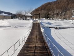 -横道河子东北虎林园