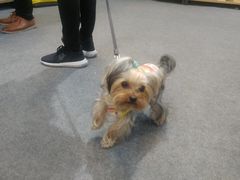 -东浩兰生上海世博展览馆