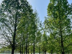 -石家庄市植物园