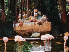 -九龙公园