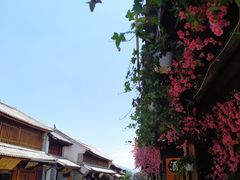 -尽善百年古院餐厅(王家老宅店)