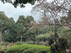 -成都杜甫草堂博物馆