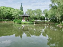 -瀛洲公园